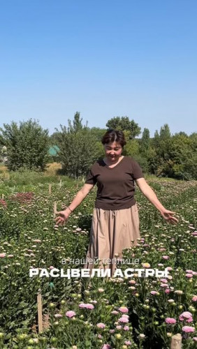 Оптовый инстаграм 16